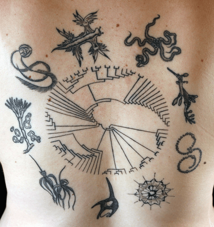 Tattoo Pain Charts