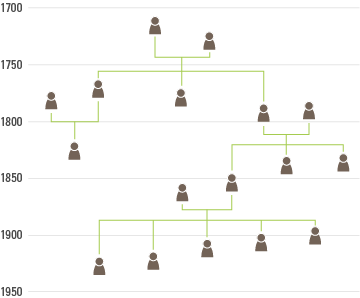 timeline family tree