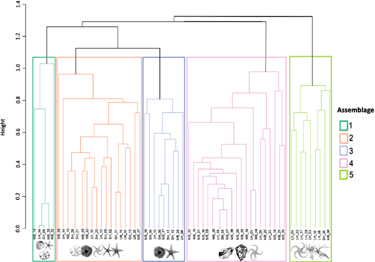 dendrogram