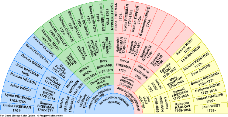 Genealogy Fan Chart