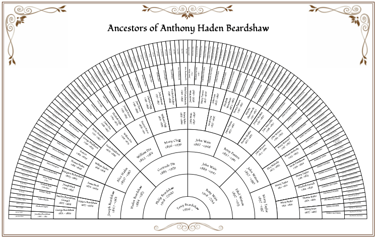 Genealogy Fan Chart