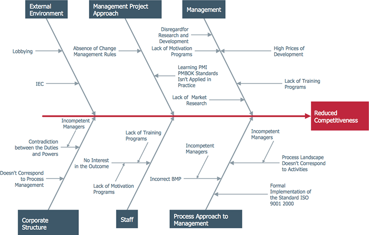 Fishbone Diagram