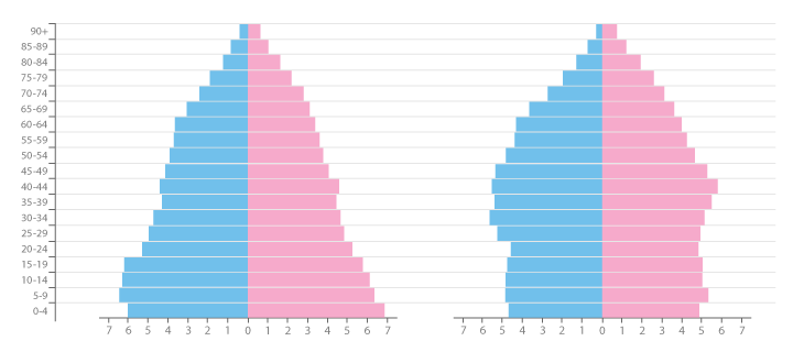 population pyramid